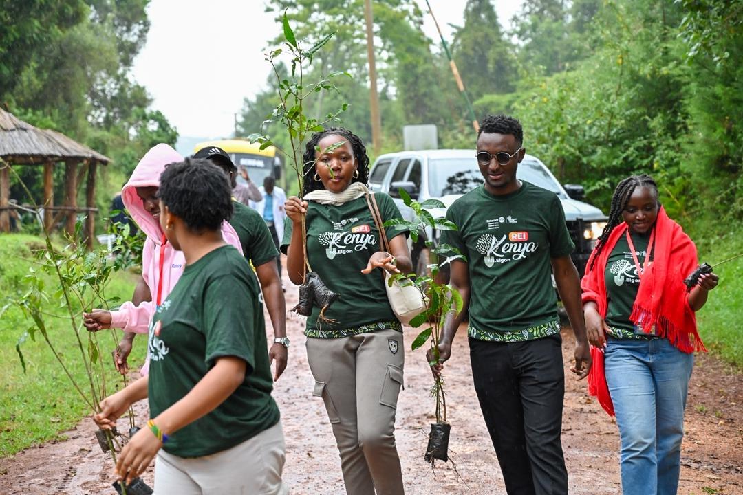 8287c0c2-ed3b-4a6b-b3f2-eb07a22266fc-1